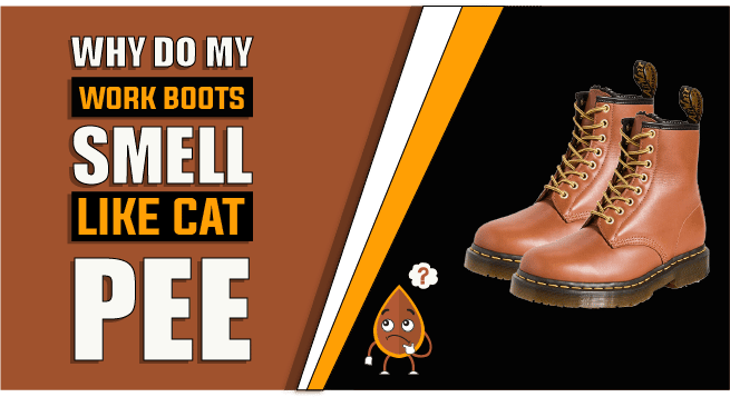 why do my work boots smell like cat pee