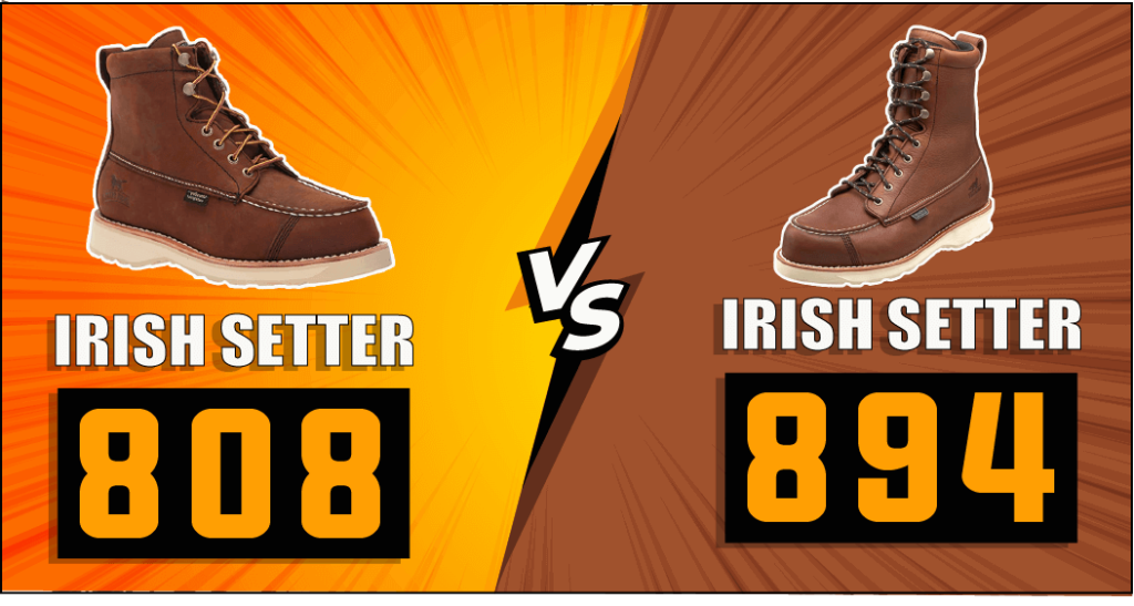 Irish Setter 808 vs 894
